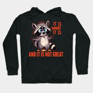 Funny Raccoon It Is What It Is And It Is Not Great Hoodie